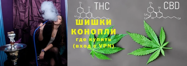 шишки Кукмор
