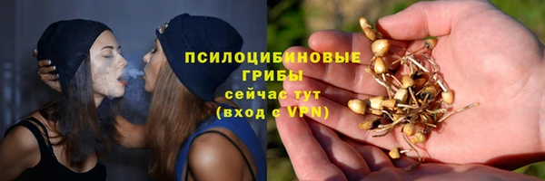 шишки Кукмор