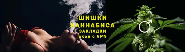 шишки Кукмор