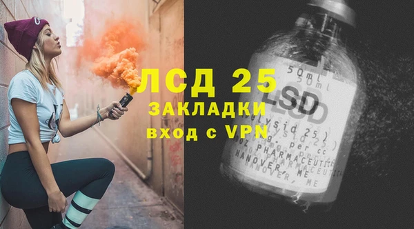 шишки Кукмор