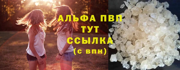 PSILOCYBIN Куйбышев