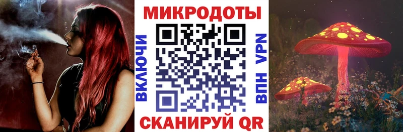 Купить закладки  Грязовец  Псилоцибиновые грибы Psilocybe 